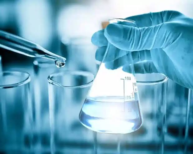 The Role of Research in a Biology Degree Curriculum